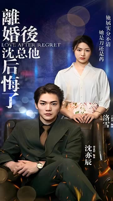 離婚后，沈總他后悔了