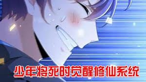 快死時覺醒修仙系統走向人生巔峰