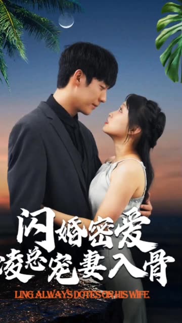 閃婚蜜愛凌總寵妻入骨閃婚老公輕點寵一不小心愛上你