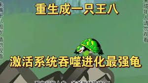 一只龜的進化史
