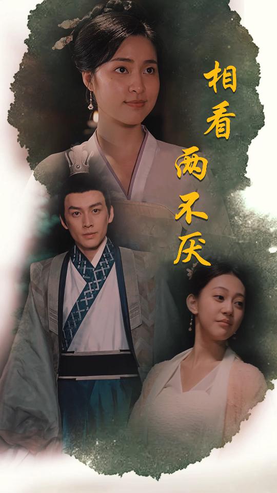 相看兩不厭這個(gè)王妃不好惹