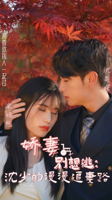 嬌妻別想逃：沈少的漫漫追妻路