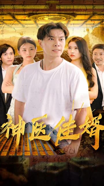 神醫佳婿