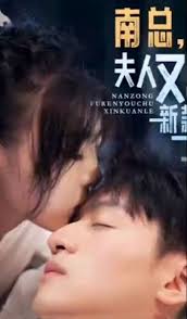 南總，夫人又出新款了