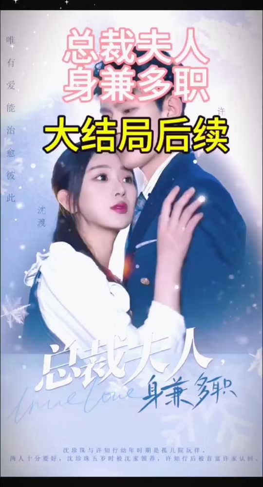 總裁夫人，身兼多職