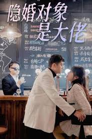 隱婚對(duì)象是大佬