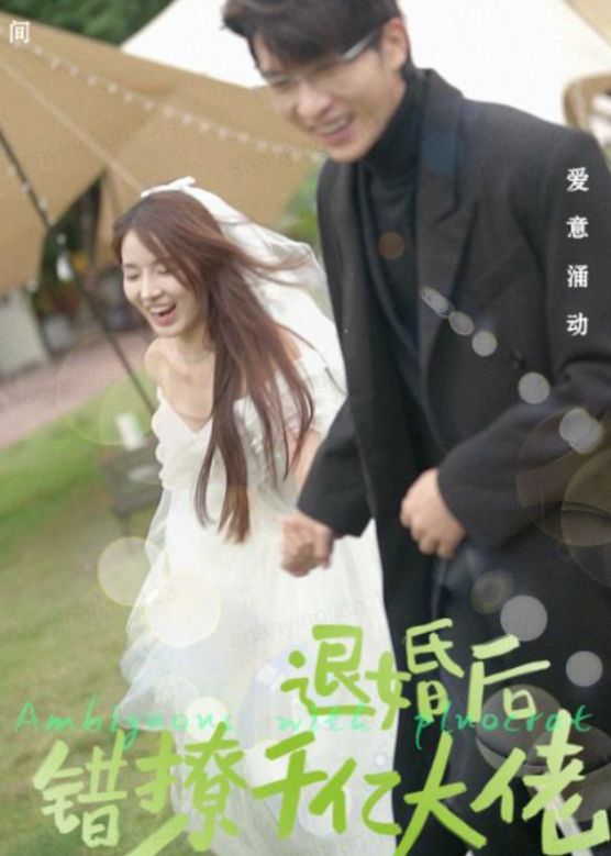 退婚后，錯撩千億大佬