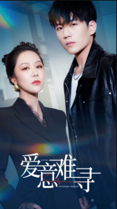 愛(ài)意難尋
