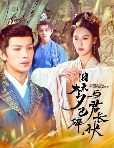舊夢已碎，與君長訣＆終是深情錯付君