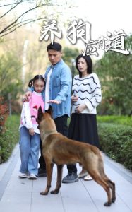 養(yǎng)狗應有道