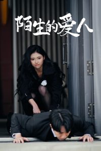 陌生的愛(ài)人