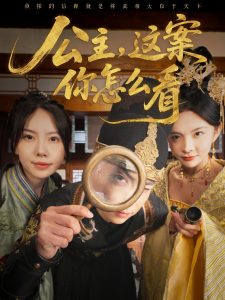 公主，這案你怎么看