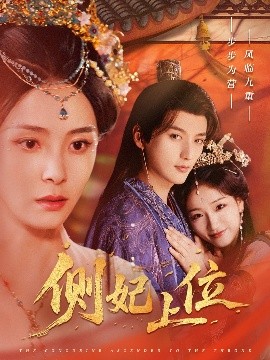 側(cè)妃上位