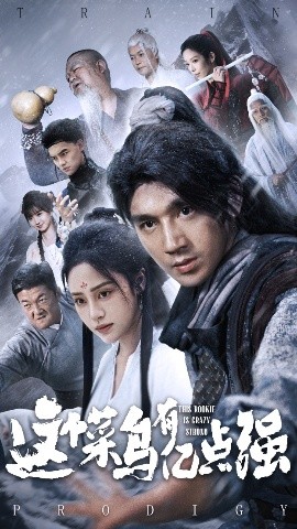 這個菜鳥有億點(diǎn)強(qiáng)