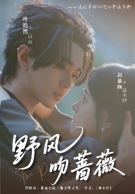 野風吻薔薇