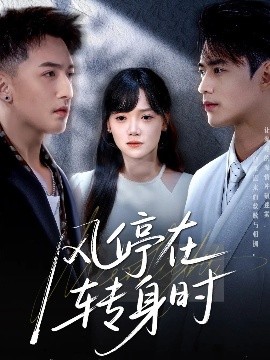風(fēng)停在轉(zhuǎn)身時