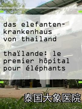 泰國大象醫院