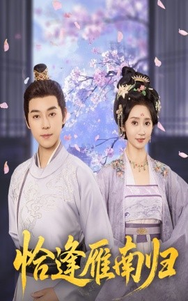 恰逢雁南歸