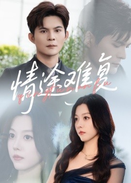 情途難復(fù)
