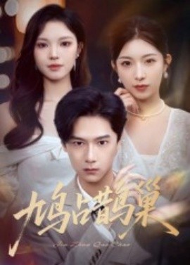 鳩占鵲巢頂流夫人的致命陷阱