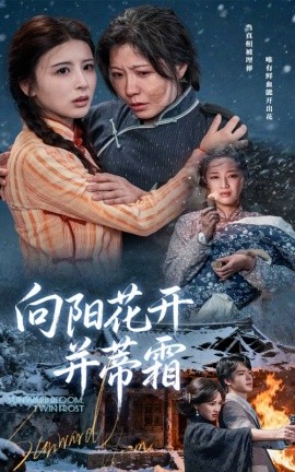 向陽花開并蒂霜