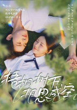 梧桐樹下，相思成空