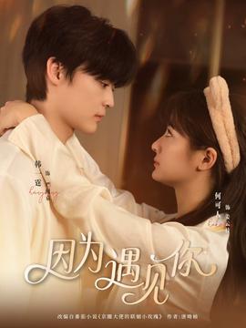 因?yàn)橛鲆?jiàn)你